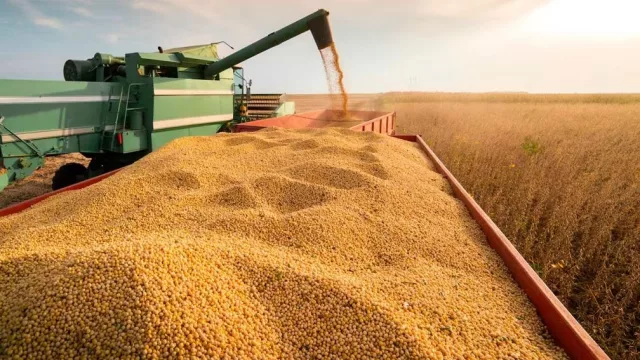 Santiago del Estero apuesta a industrializar su agro: el nuevo capítulo del desarrollo productivo