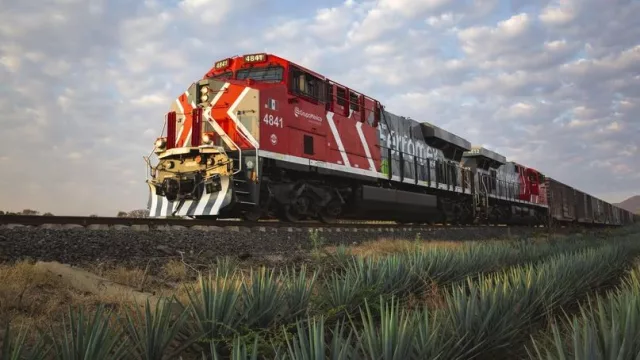 Ferromex proyecta invertir US$ 3.000 millones si obtiene el Belgrano Cargas (clave para Tucumán y el NOA)