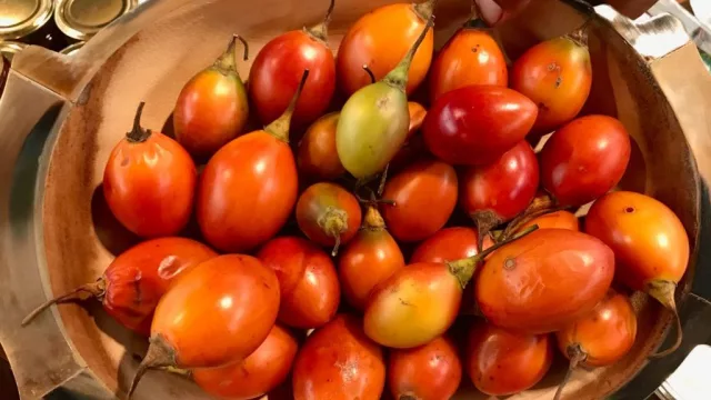 Tucumán convoca a productores de chilto para impulsar el cultivo en la provincia