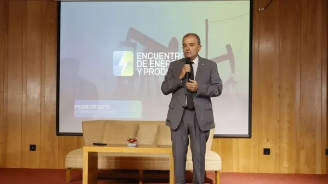Pesatti advierte sobre el modelo de Vaca Muerta: “Si replica el esquema agroexportador, no generará beneficios”