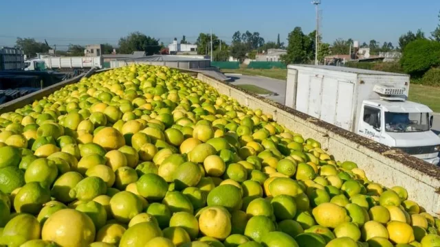 Impacto regional: Tucumán aumentó sus exportaciones un 17% en la última década