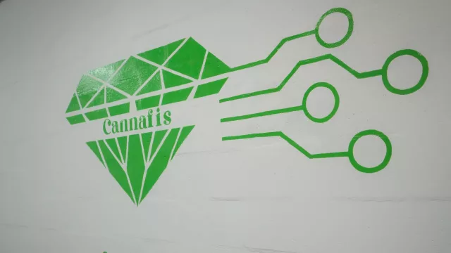Chaco se mete en el mercado global del cannabis medicinal (una empresa local exportará a Nueva Zelanda)