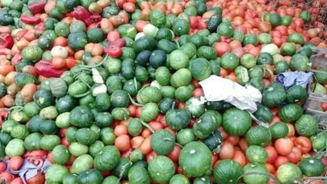 Productores de Jujuy alertan por pérdidas de hasta el 40% en la cosecha de tomate y una fuerte caída de precios