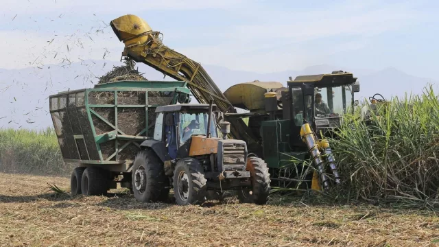 La zafra 2026 supera los 2,5 millones de toneladas de caña molida y suma 16 ingenios en actividad