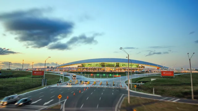 A veces en Uruguay también se nos escapan las tortugas (la novela de Ancap y el gremio para abastecer distribuidoras durante el cierre parcial del aeropuerto de Ezeiza)