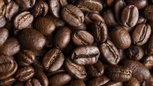 Tucumán avanza en el desarrollo del café con proyección productiva y exportadora