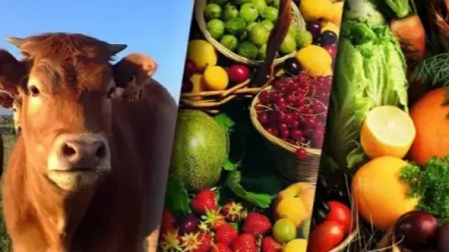 La actividad económica por encima del nivel de diciembre (campo y ventas minoristas traccionaron "hacia arriba")