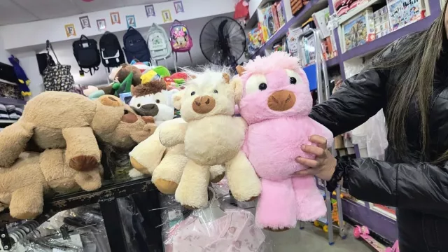 Día de las Infancias: regalos para todos los bolsillos en los comercios de Salta