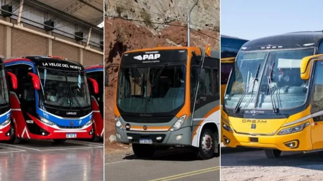 Tres transportistas sanjuaninas se unieron para competir por un contrato de US$60 millones en Vicuña