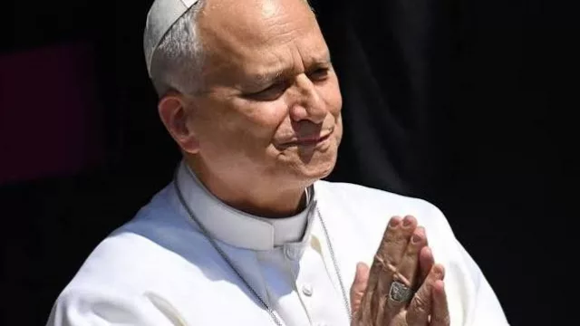 Los vinos mendocinos que acompañará las celebraciones del Papa León XIV en Argentina