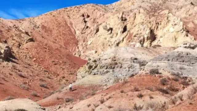 Mendoza aprobó un proyecto de cobre que producirá insumos para la industria vitivinícola